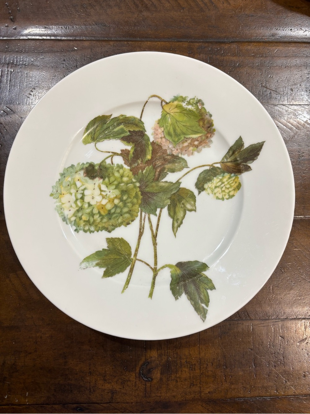 Hydrangea Floral Dinner Plate in Green and Cream
